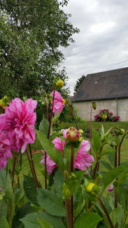 La Ferme Du Bois Paris Bed and Breakfast Ermenonville-la-Petite Esterno foto